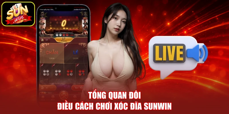 Tổng quan đôi điều cách chơi xóc đĩa SUNWIN